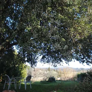  Appartement Fattoria Di Malavolta Italie